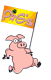 pig2
